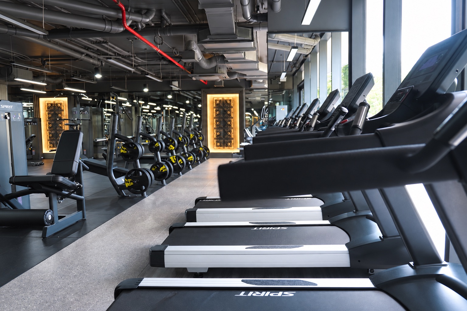 Treadmills along the gym windows