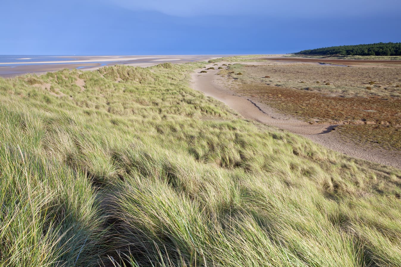 Discover the Charm of Norfolk’s Coastal Treasures