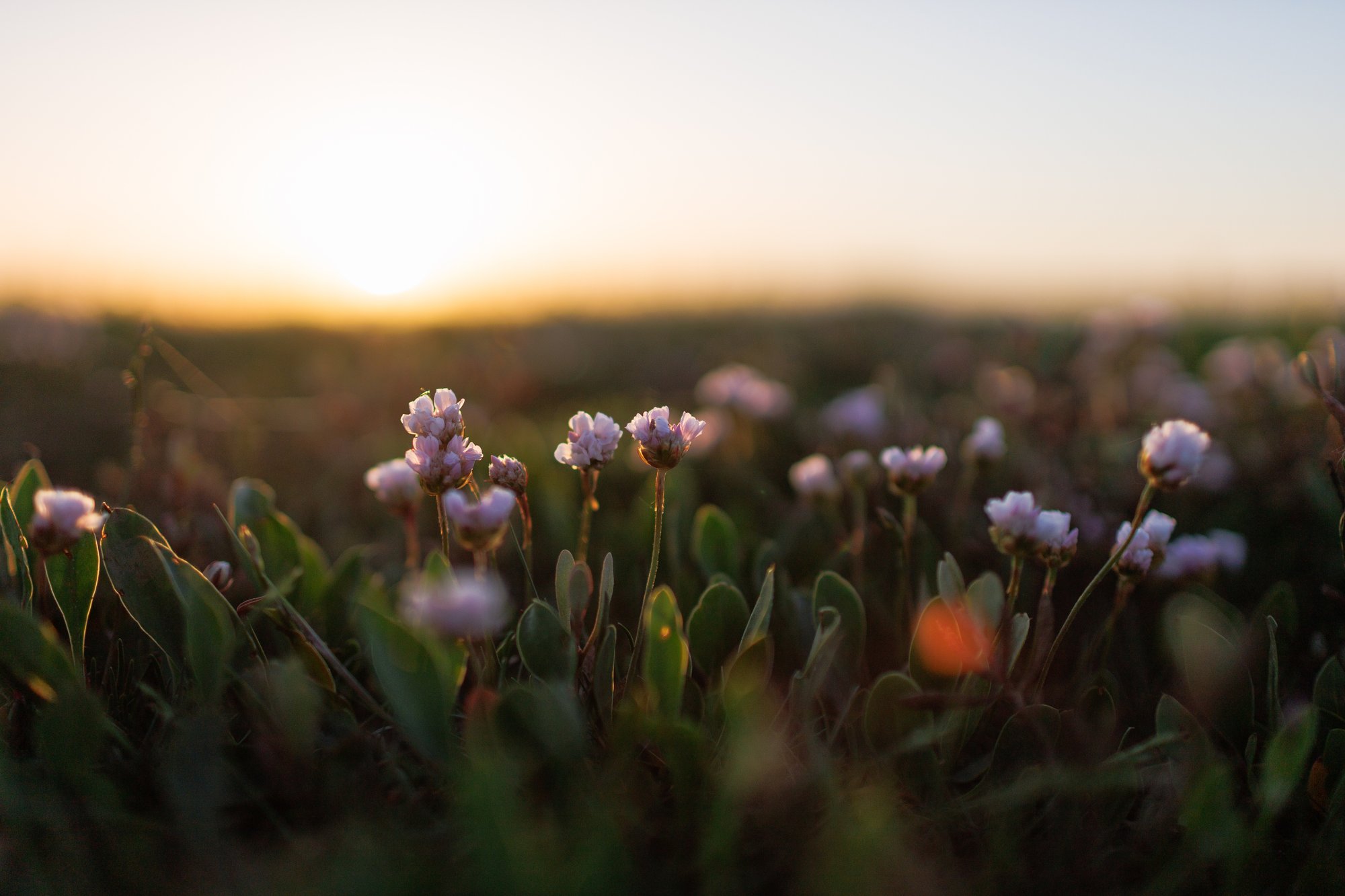 Things To Do in Norfolk This Summer | The Harper Hotel