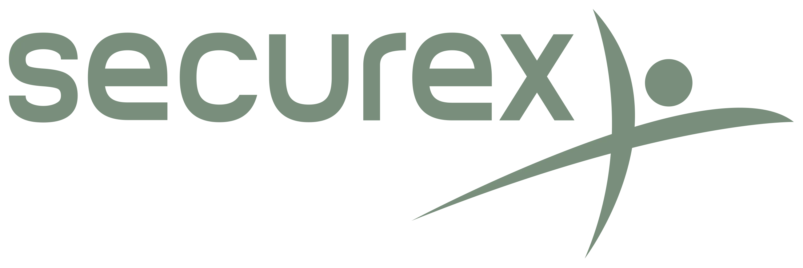 Logo Securex