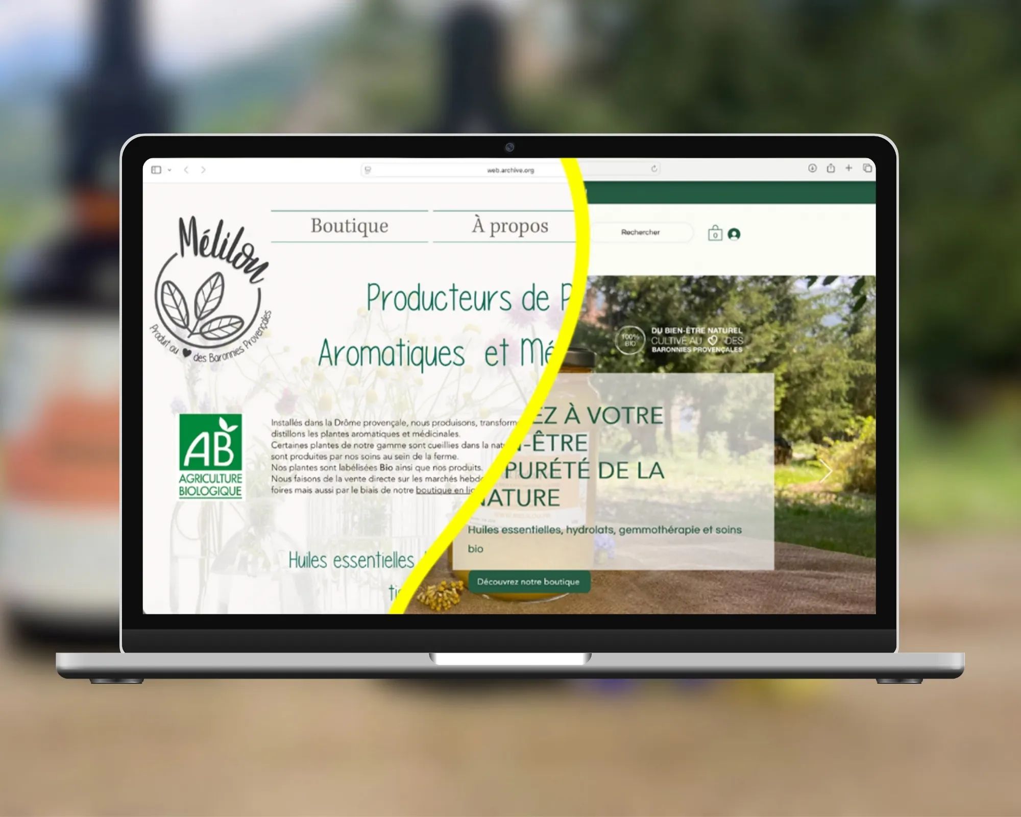 Refonte du site Mélilou : l'ancien site et le nouveau