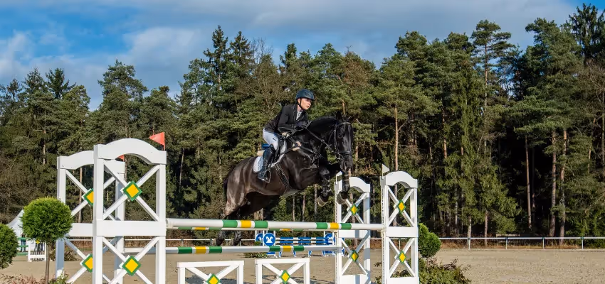 Pferd in der Flugphase überm Sprung beim Springreiten