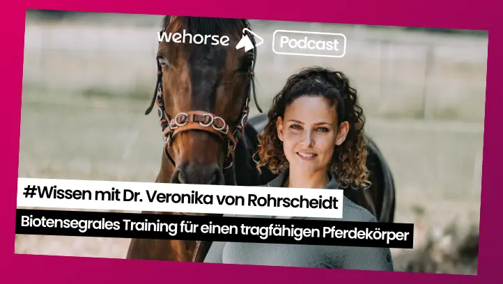 #Wissen mit Veronika von Rohrscheidt: Biotensegrales Training einfach erklärt