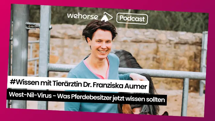 #Wissen mit Tierärztin Dr. Franziska Aumer: Was du über das West-Nil-Virus wissen musst