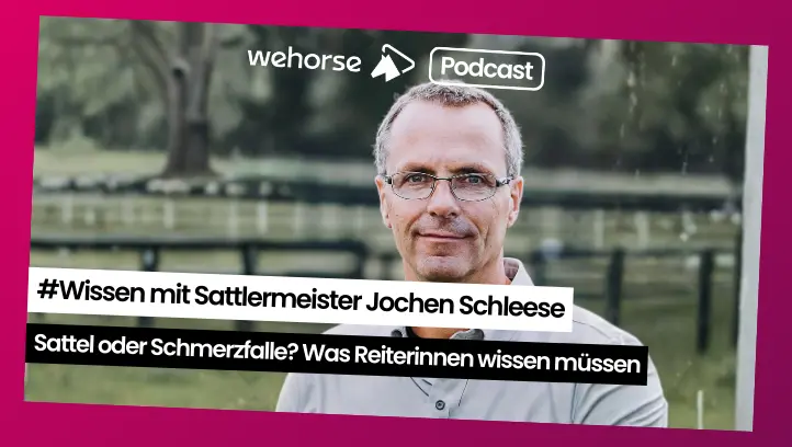 #Wissen mit Sattlermeister Jochen Schleese: Wie du erkennst, ob dein Sattel wirklich zu dir und deinem Pferd passt