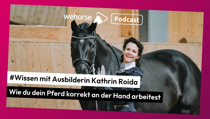 #Wissen mit Ausbilderin Kathrin Roida: Wie du dein Pferd korrekt an der Hand arbeitest