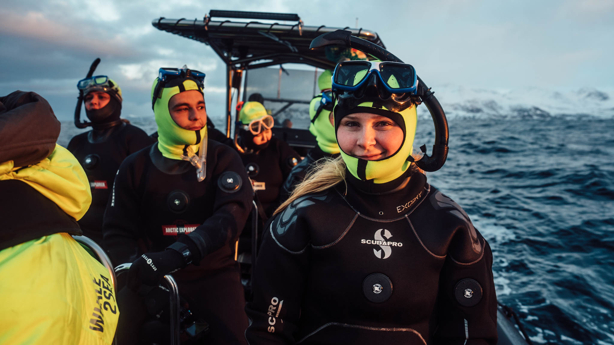 The Majortale team swimming with whales in Norway