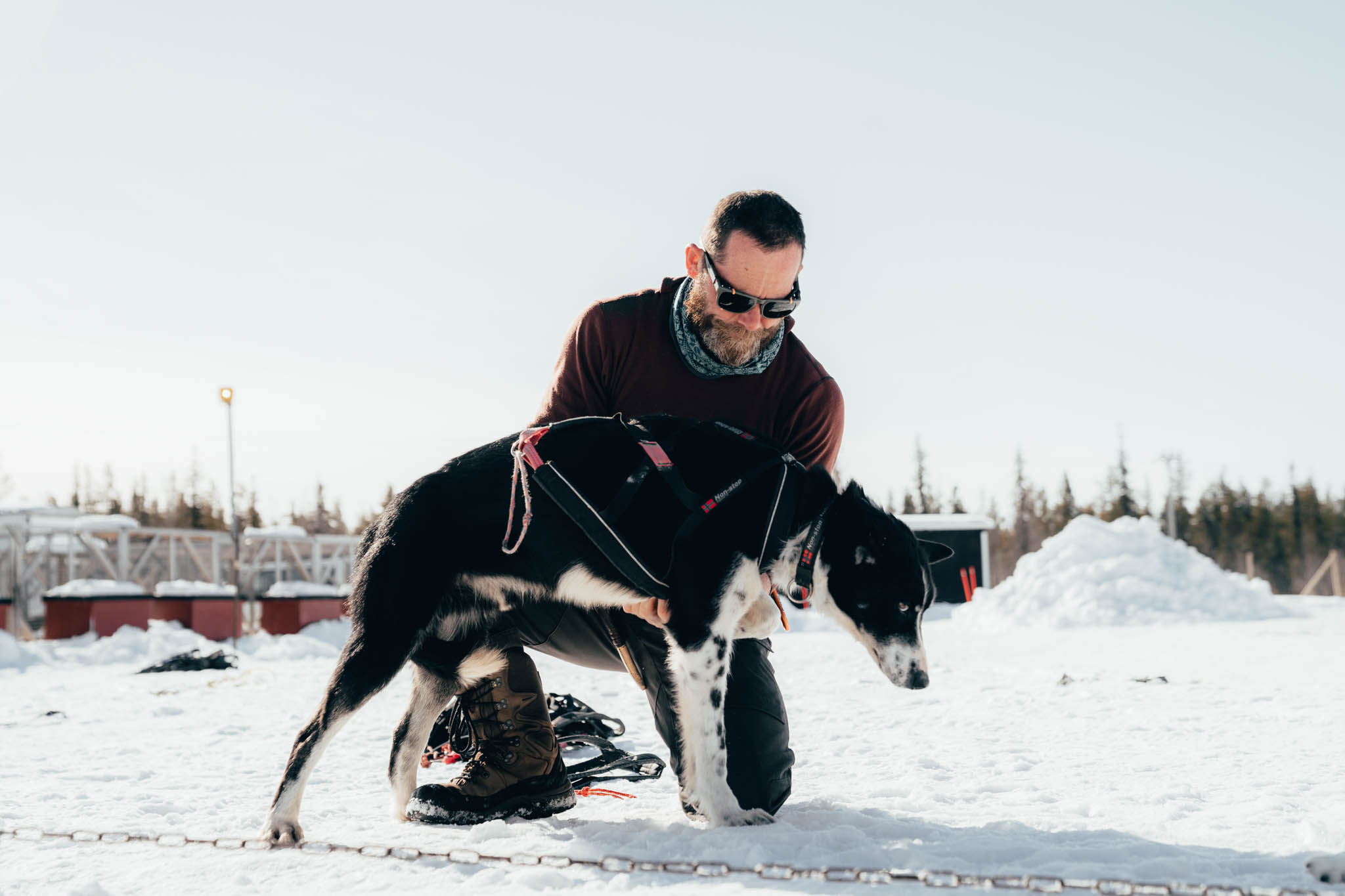 Man with a sled dog in the snow in Swedish Lapland, Volvo Rebirth film