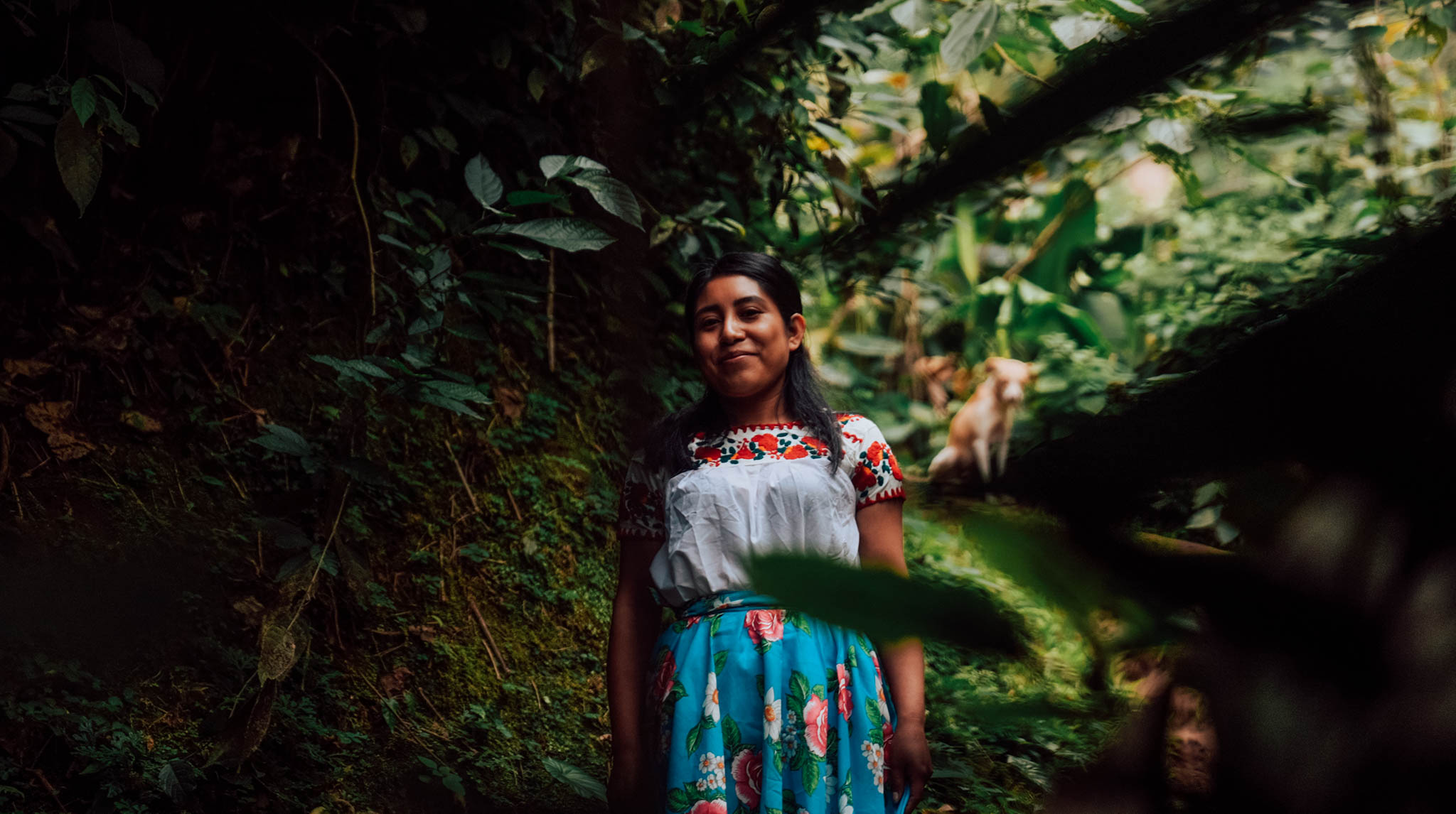 Young woman in a traditional embroidered blouse in the Mexican coffee forest