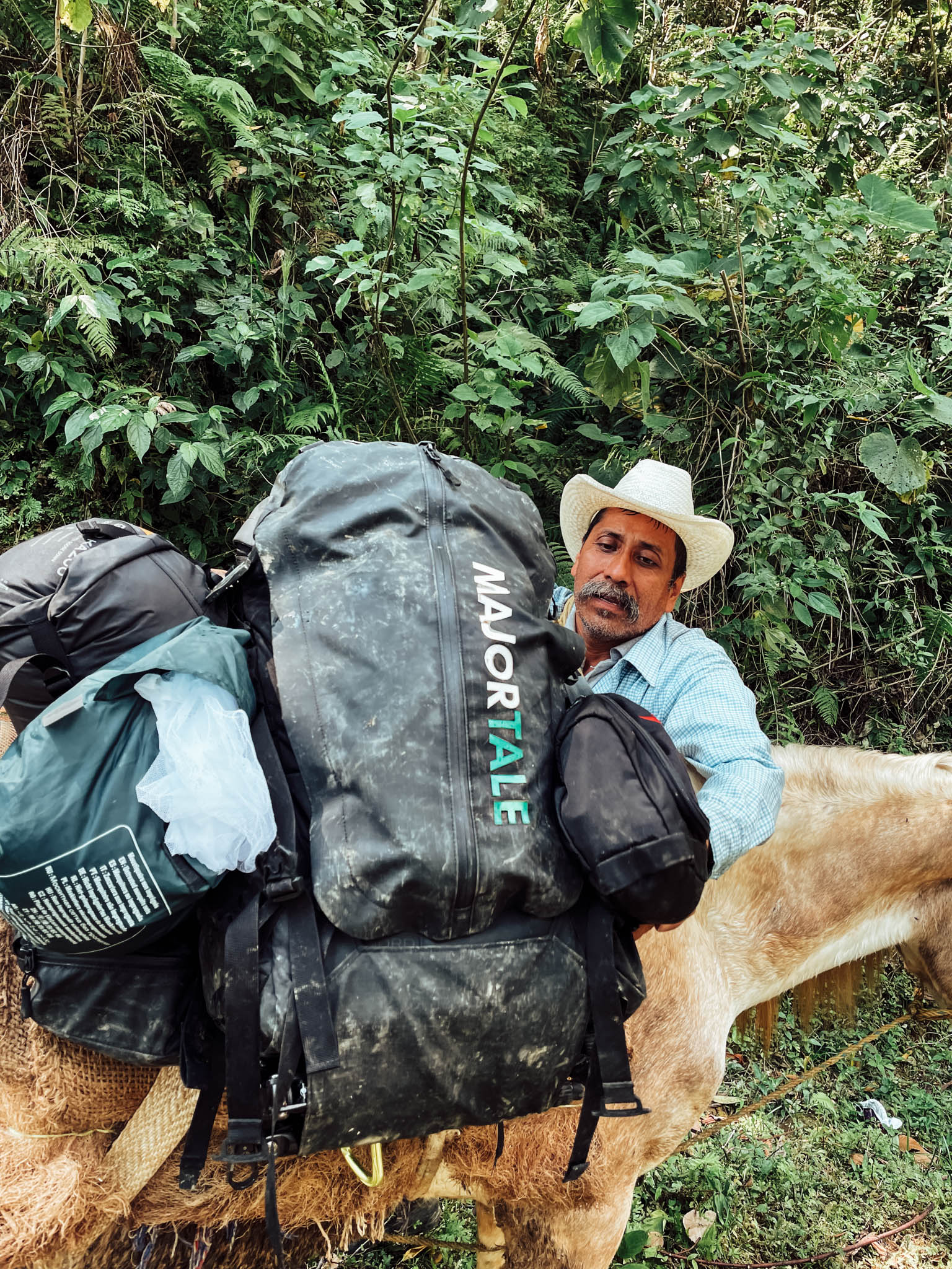 Muleteer loading a Majortale backpack onto a mule in the Mexican coffee highlands