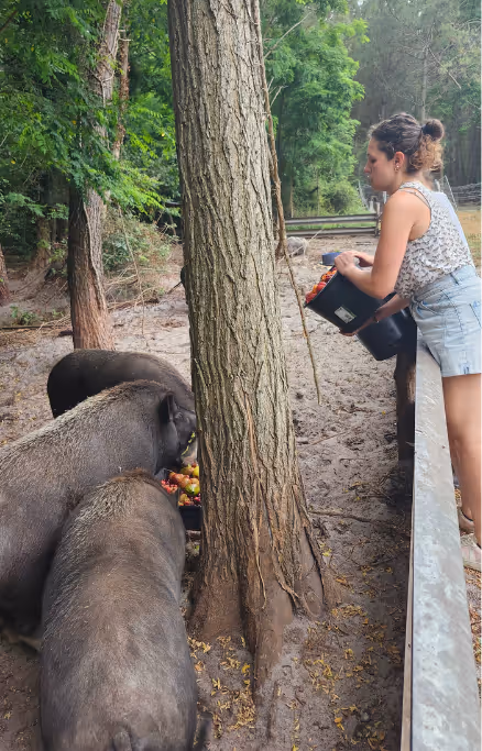 Mujer alimentando a los animales