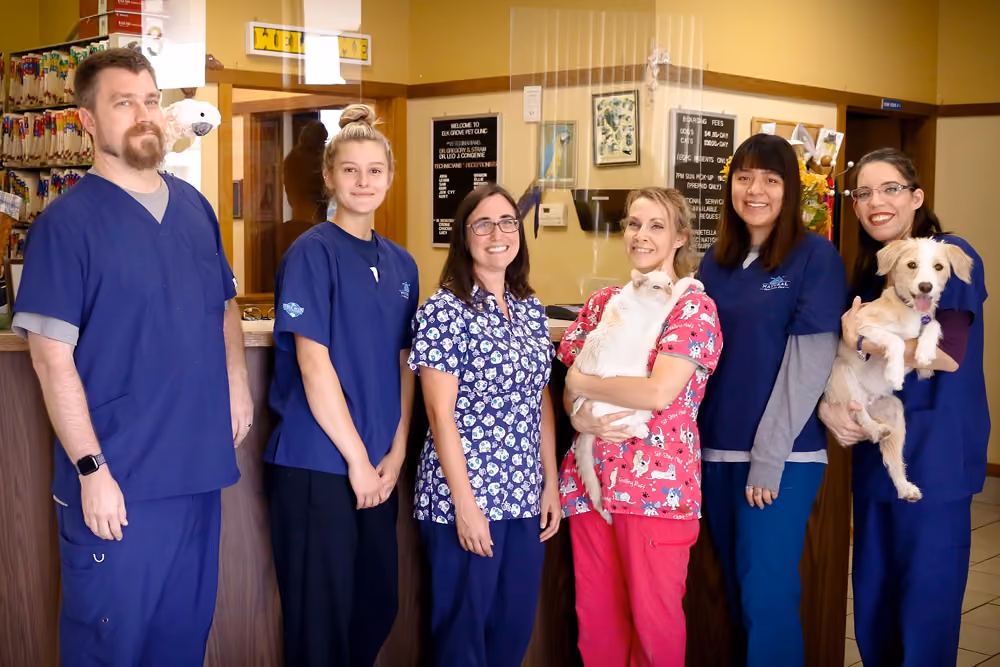 Elk Grove Pet Clinic