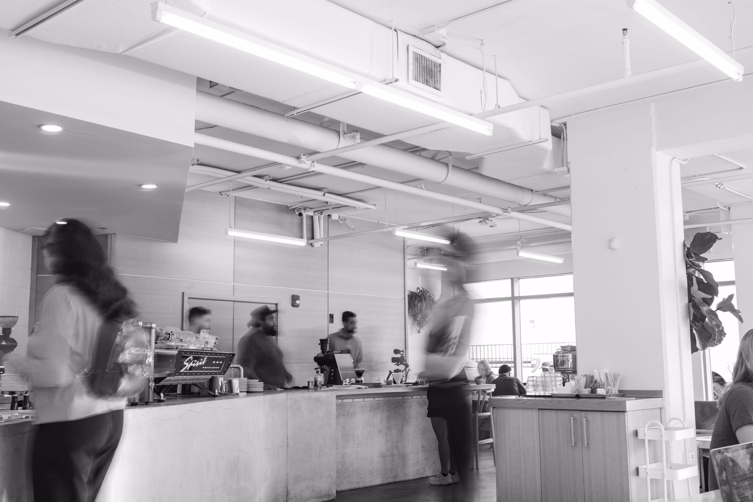 Guests blurred in motion at the counter of a bright modern cafe, in black and white