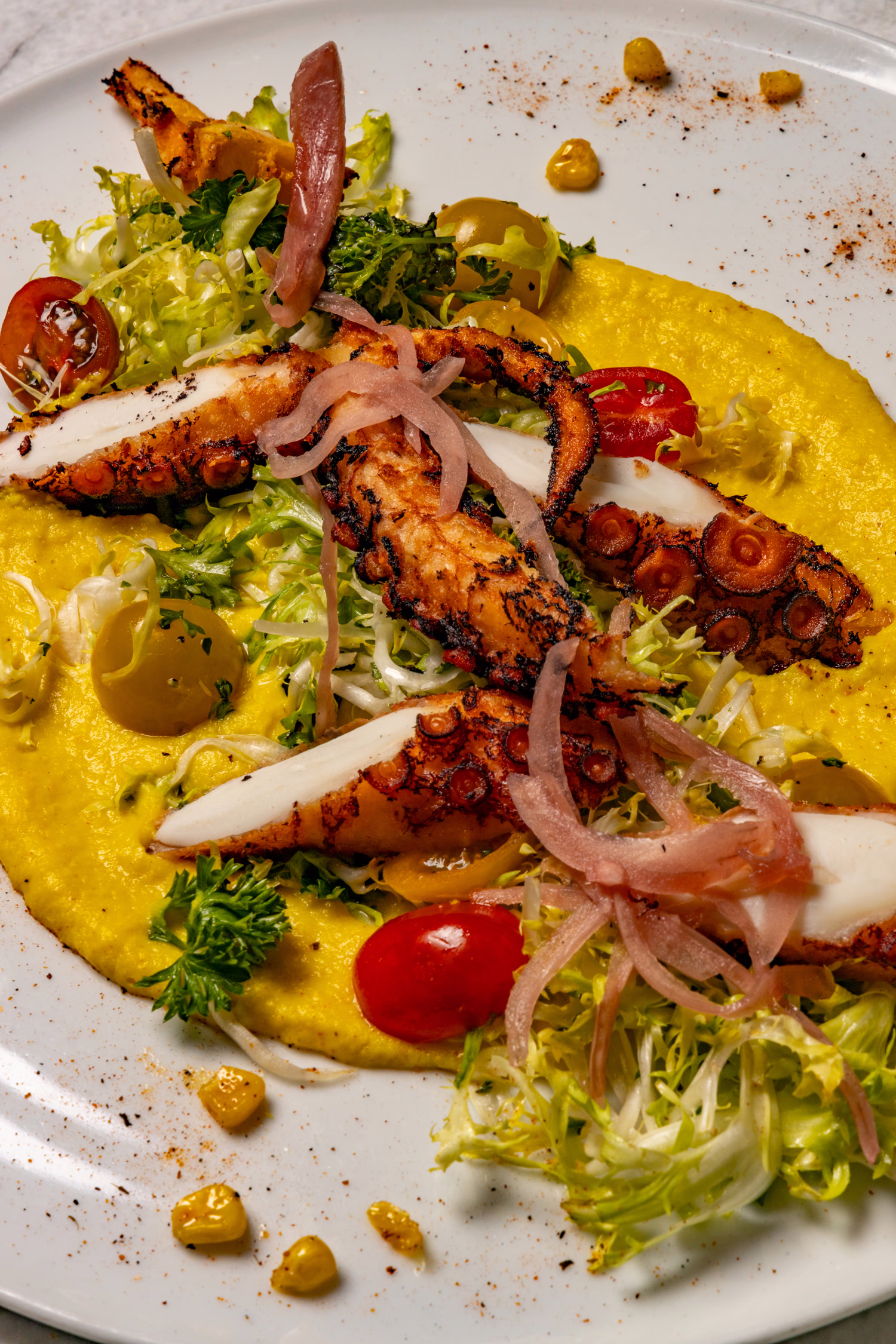 Grilled octopus over a yellow puree with frisee and cherry tomatoes at Mistora