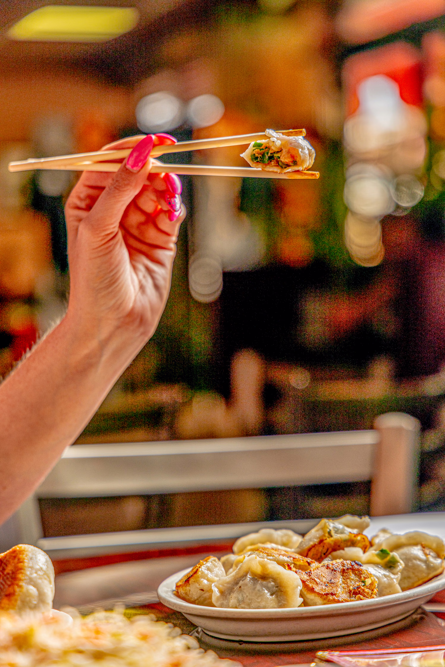 A dumpling lifted with chopsticks over a full plate at Northern China Eatery