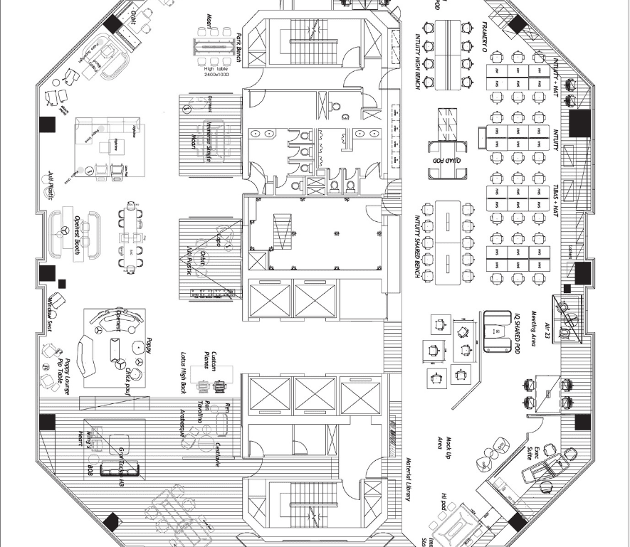 CAD drawing illustrating the scale and spatial requirements of the project.