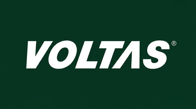 Our Client Voltas