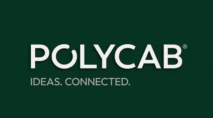 Our Client Polycab Wires