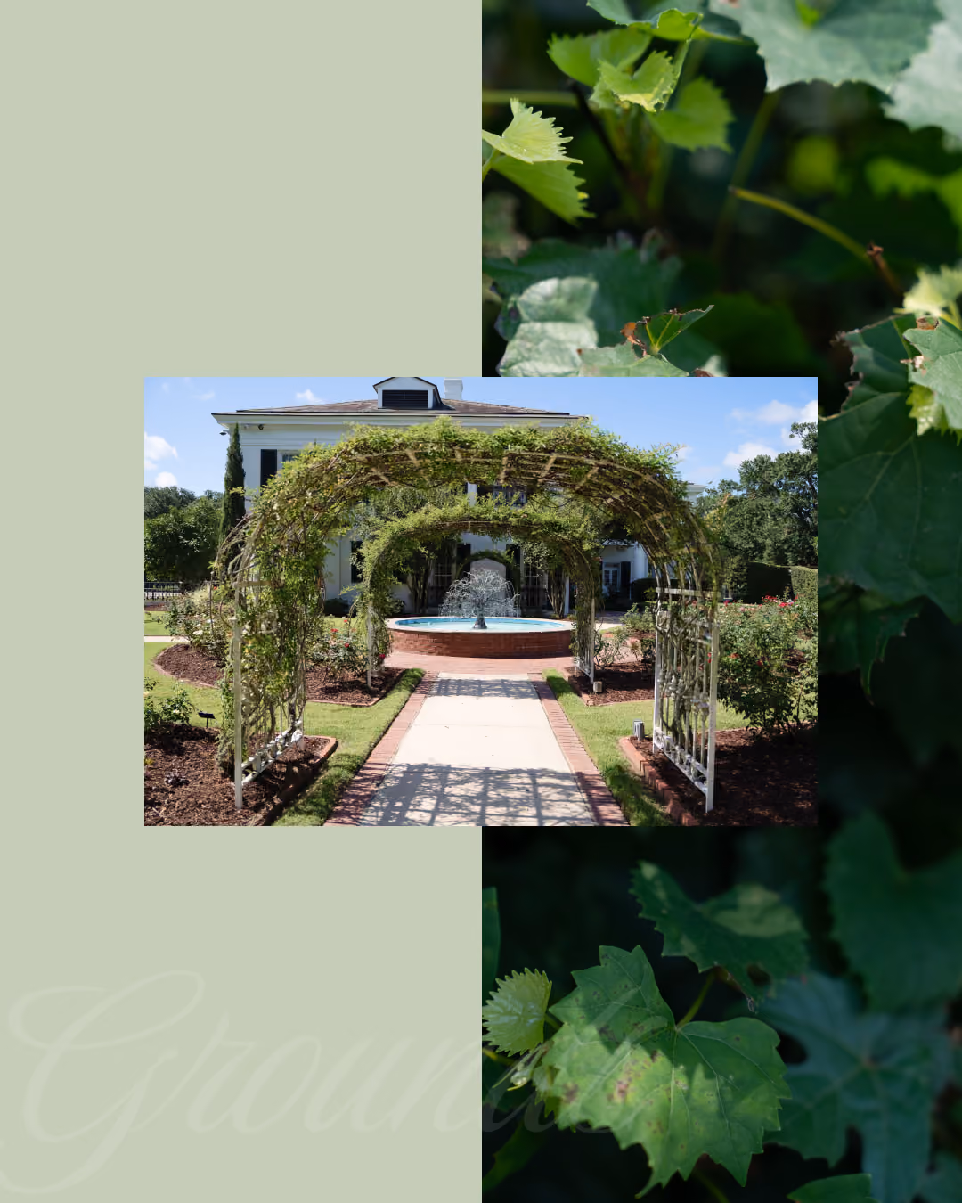 Garden pathway featuring metal arches with climbing plants leading to a circular fountain in front of a white building on a sunny day.