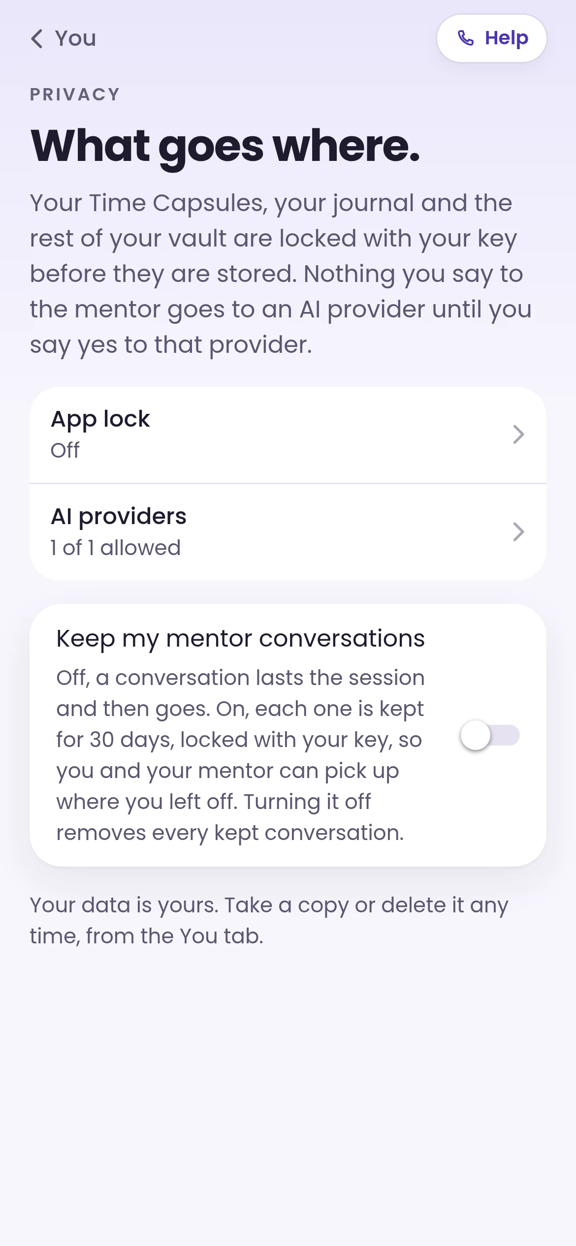 Privacy and app lock settings