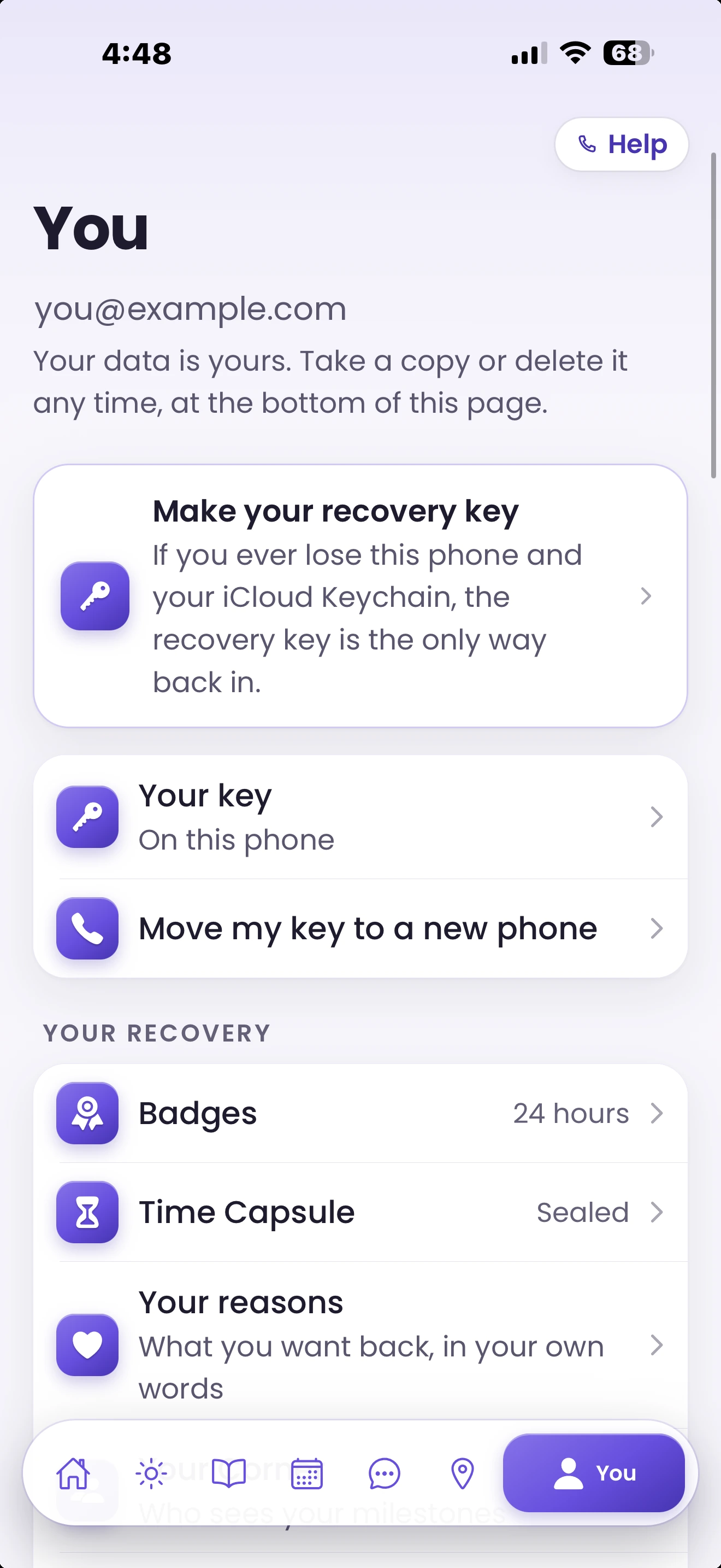Free and Sober You tab with recovery key, badges, Time Capsule and your reasons, sample content