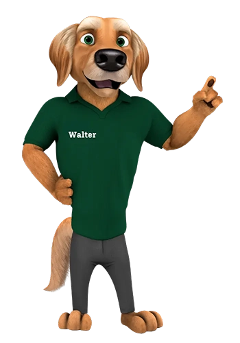 Golden retriever dog character wearing a green polo shirt with the name Walter, standing upright and pointing with its right hand.