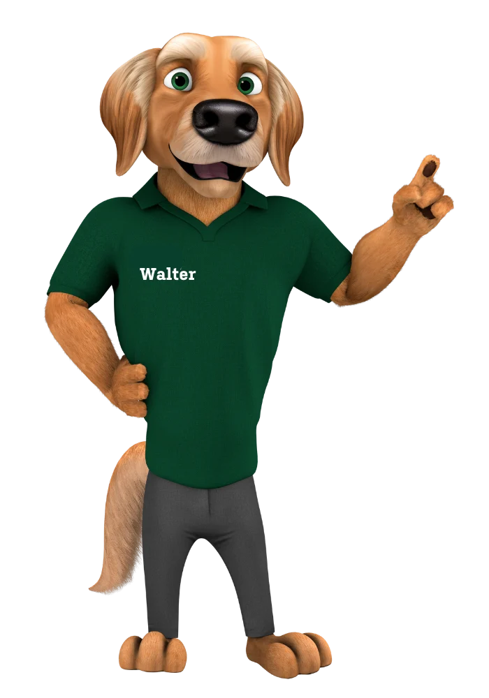 Animated golden retriever dog standing upright wearing a green polo shirt with the name Walter on it, gray pants, smiling, and pointing upward with one paw.