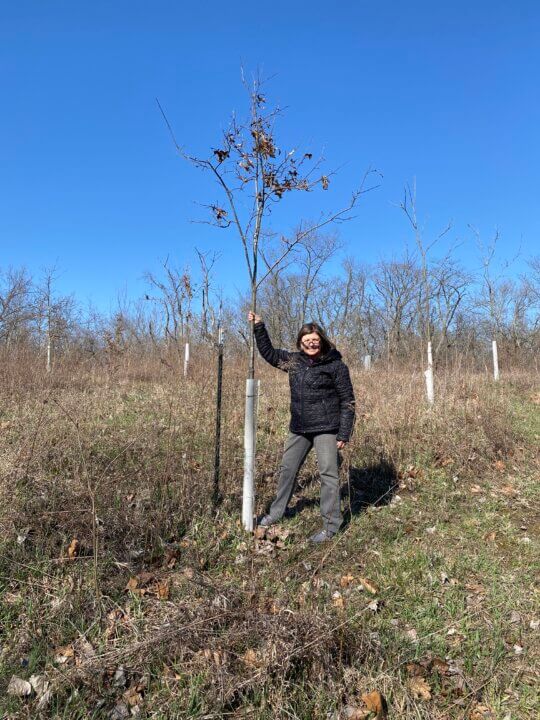 A woman in a black jacket and gray pants stands outdoors on grassy sloped land, holding a young leafless tree supported by a black stake and surrounded at its base by white protective tubing, with more trees and a clear blue sky in the background.