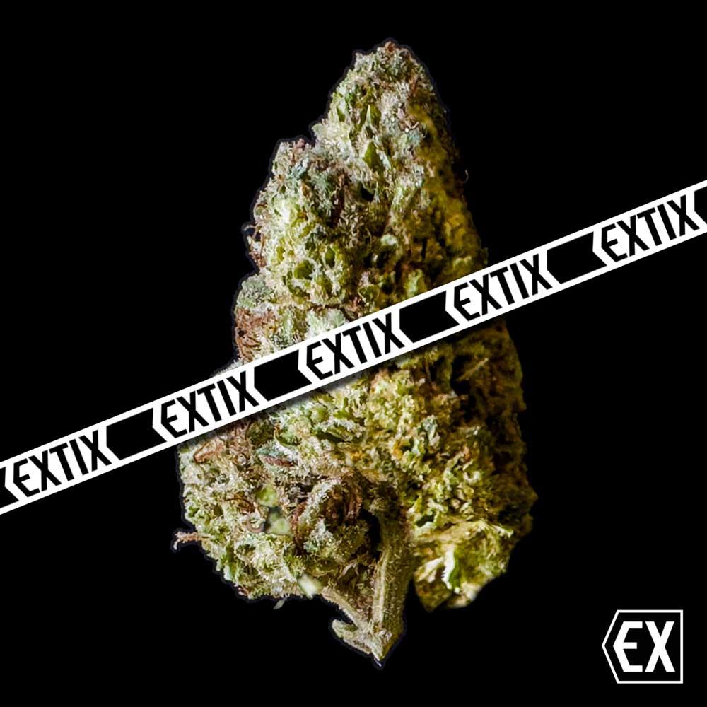 Wedding Wreck cannabis strain by EXTIX