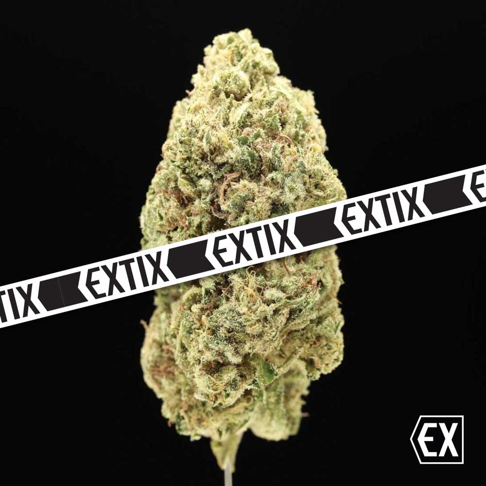 EXTIX Runtz cannabis strain by EXTIX