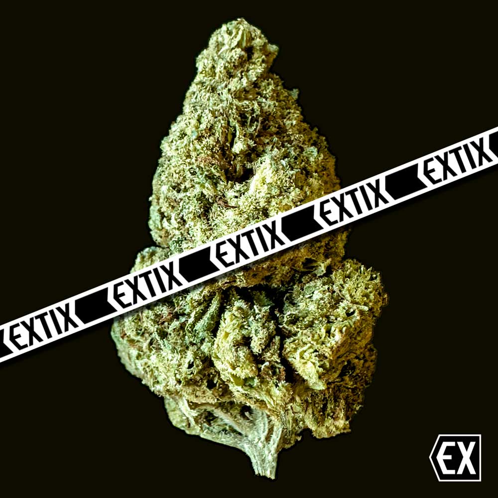 Honeymoon Cake cannabis strain by EXTIX