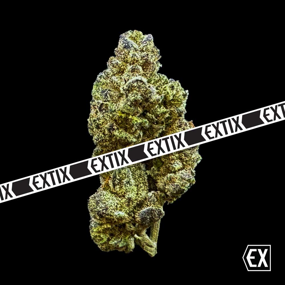 EXOGLAM cannabis strain by EXTIX