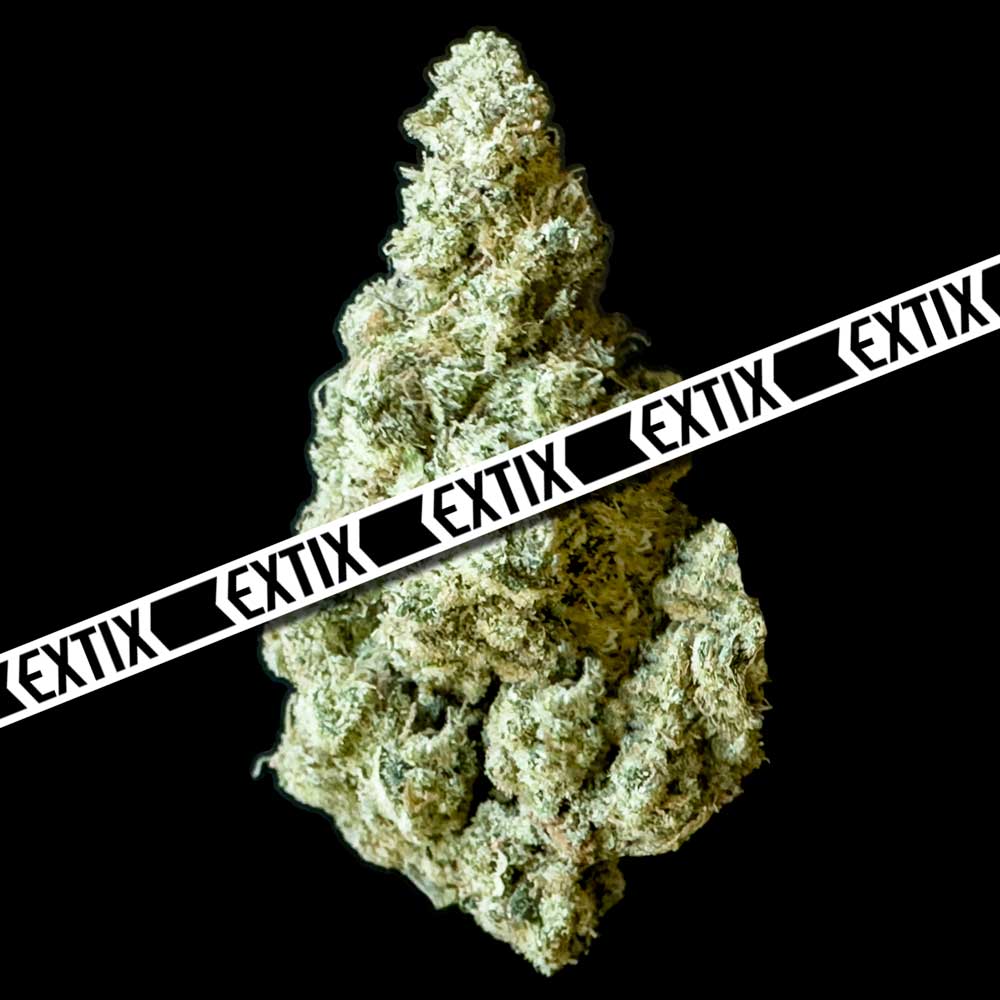 Girl Scout Cookies cannabis strain by EXTIX
