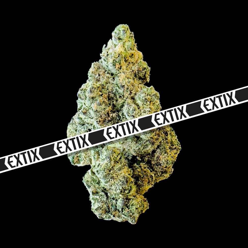 KRAKEN cannabis strain by EXTIX