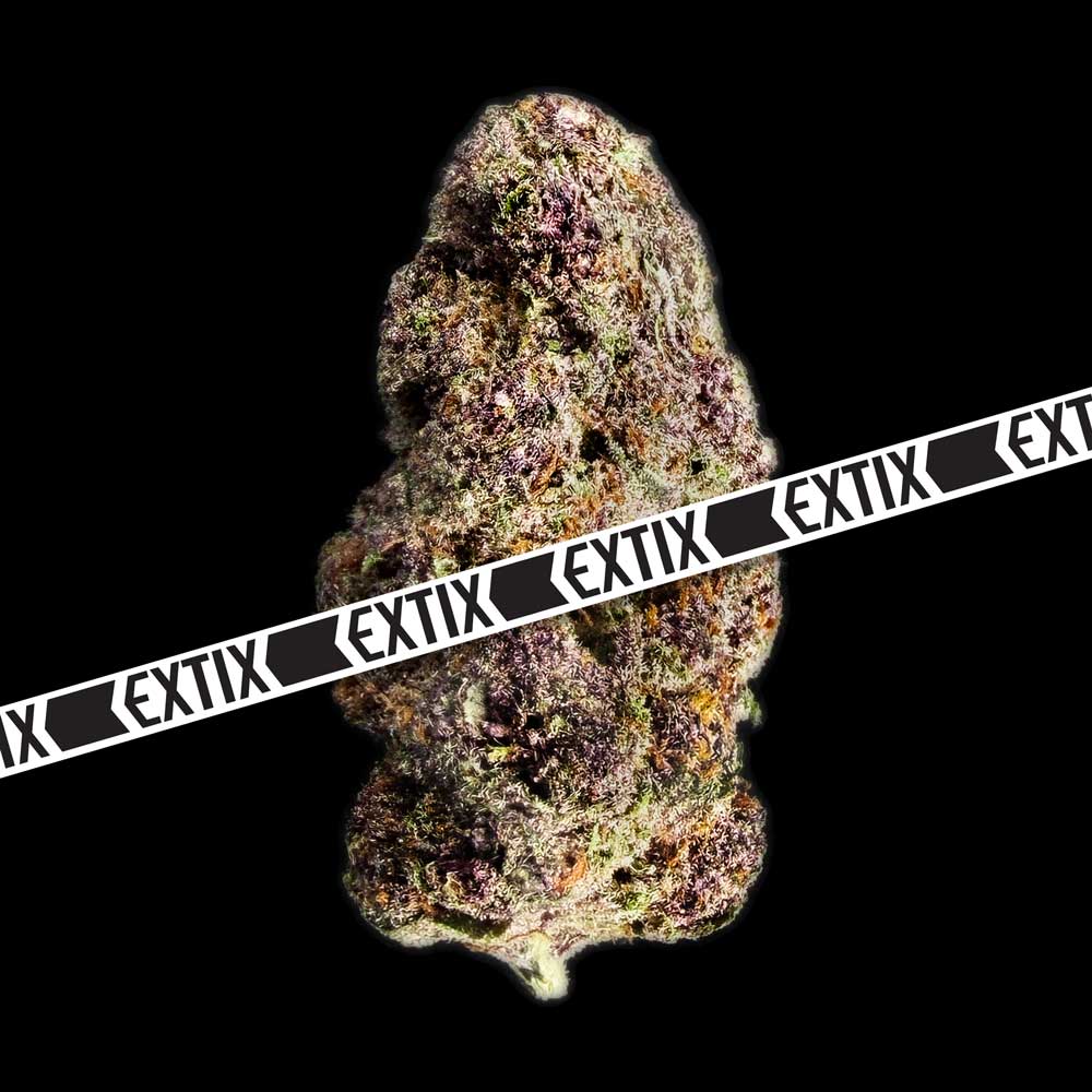 Black LV cannabis strain by EXTIX