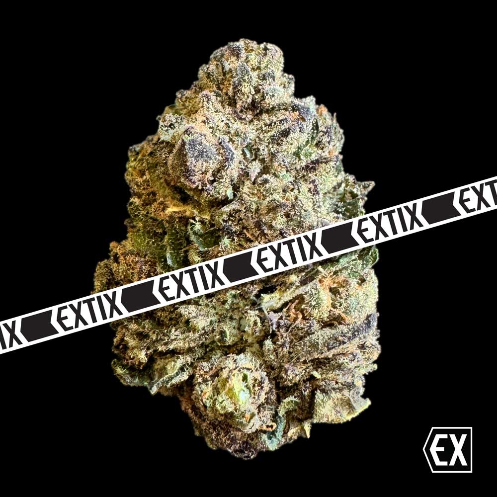 FullMoon Purp cannabis strain by EXTIX