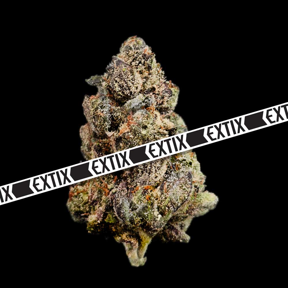 Black Beauty cannabis strain by EXTIX