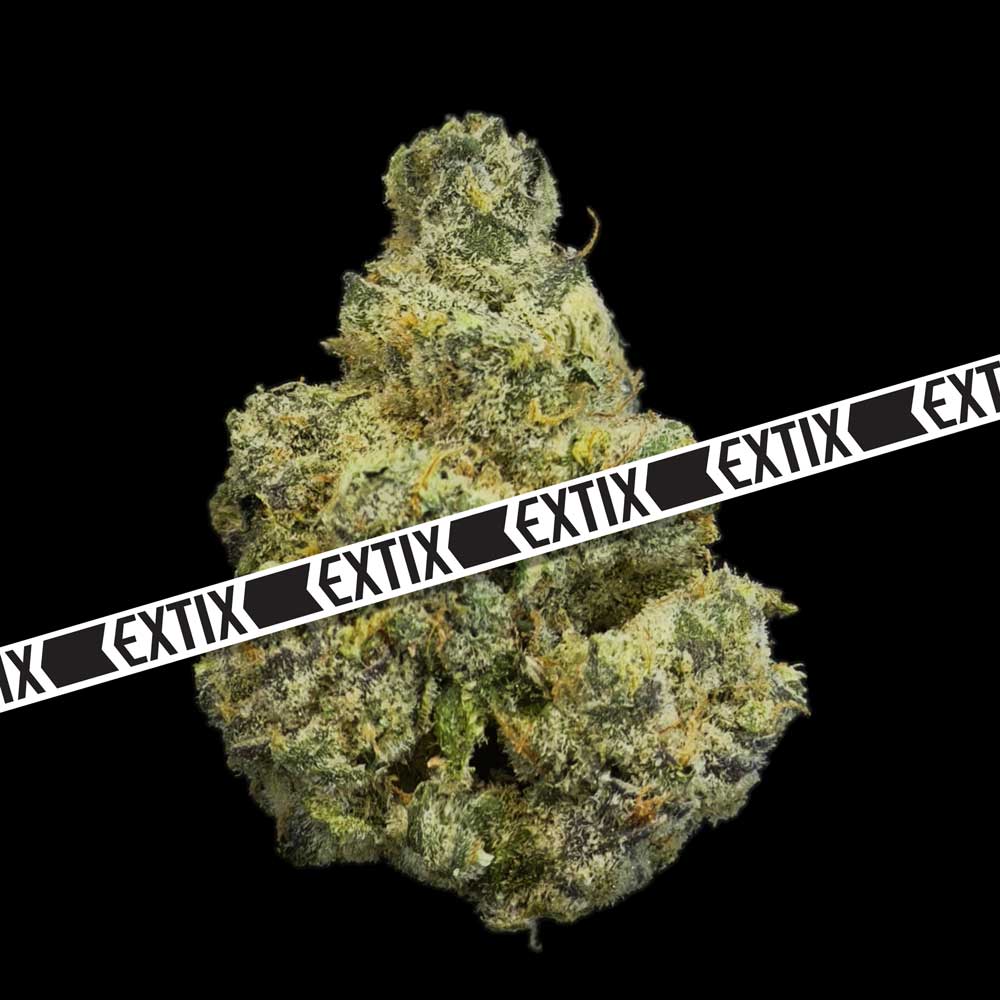 Holy Princess cannabis strain by EXTIX