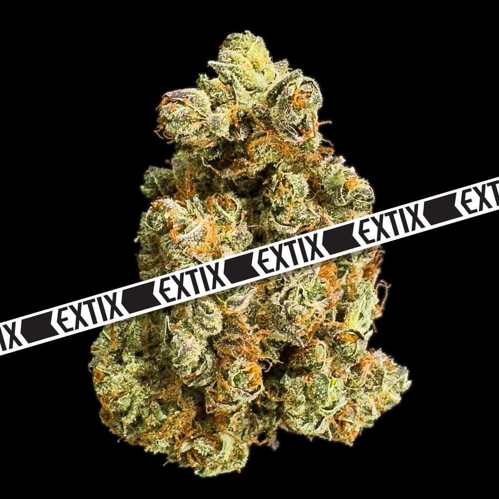 Gorilla Glue cannabis strain by EXTIX