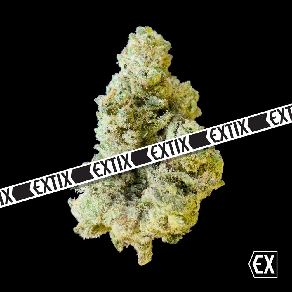 Edisons Cookies cannabis strain by EXTIX
