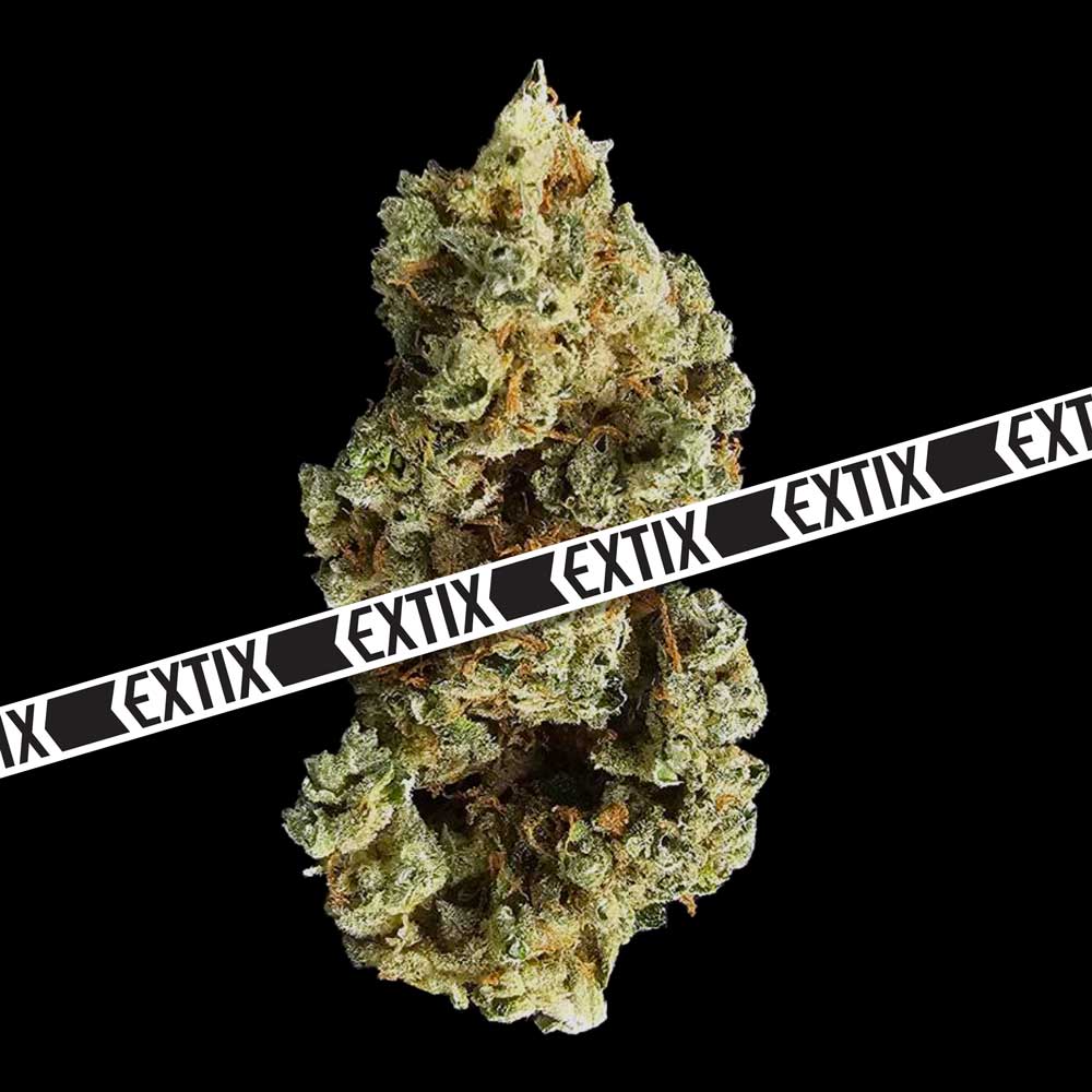Fruity Pebbles cannabis strain by EXTIX