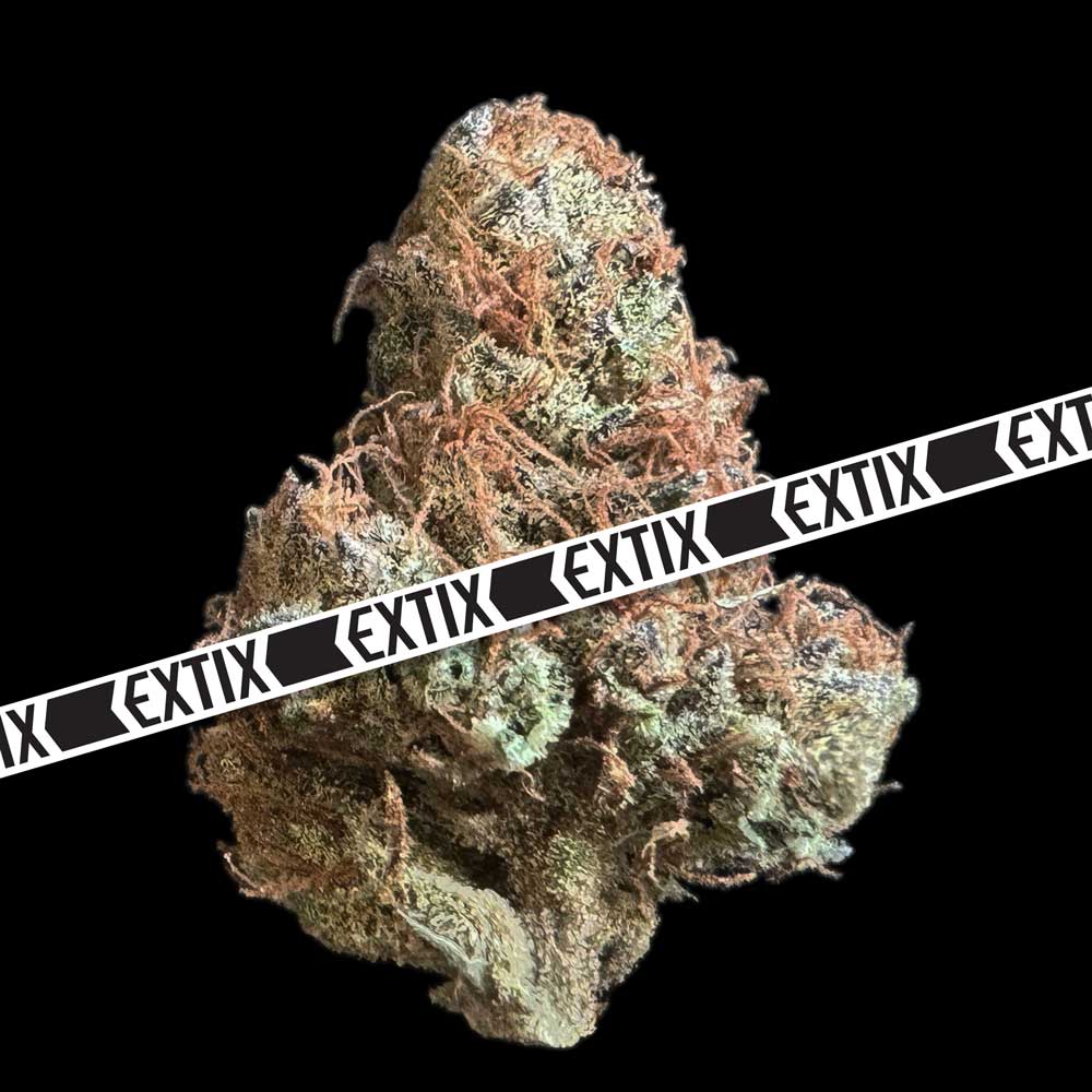Nebulis Kush cannabis strain by EXTIX