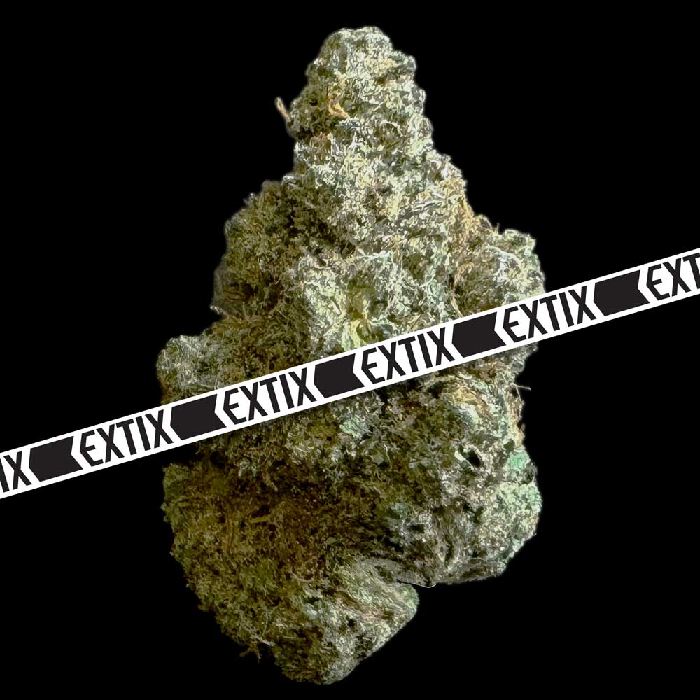 House Of Dragon cannabis strain by EXTIX