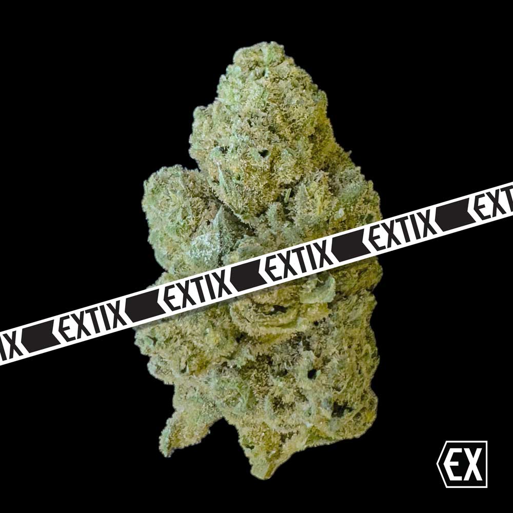 Goji Squeeze cannabis strain by EXTIX