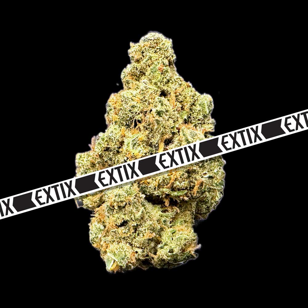 Exodus Cheese cannabis strain by EXTIX