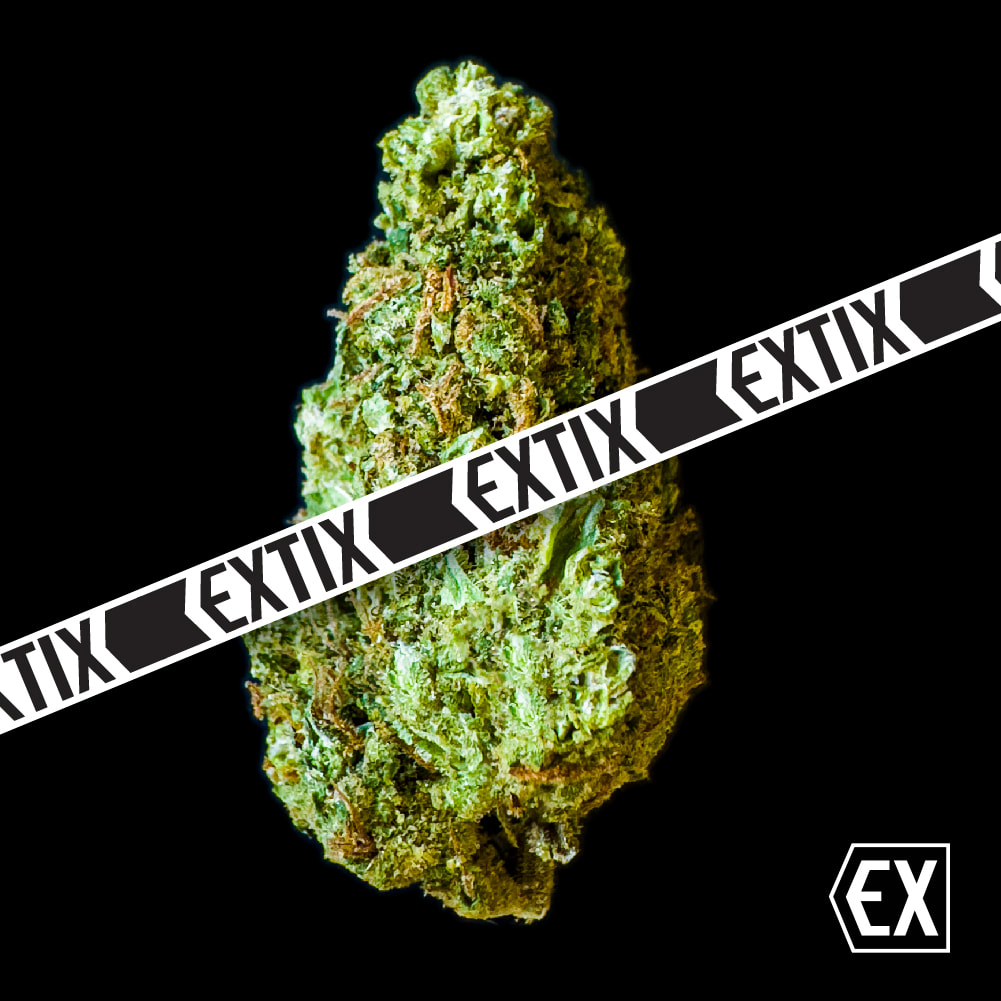 Galileo Kush cannabis strain by EXTIX