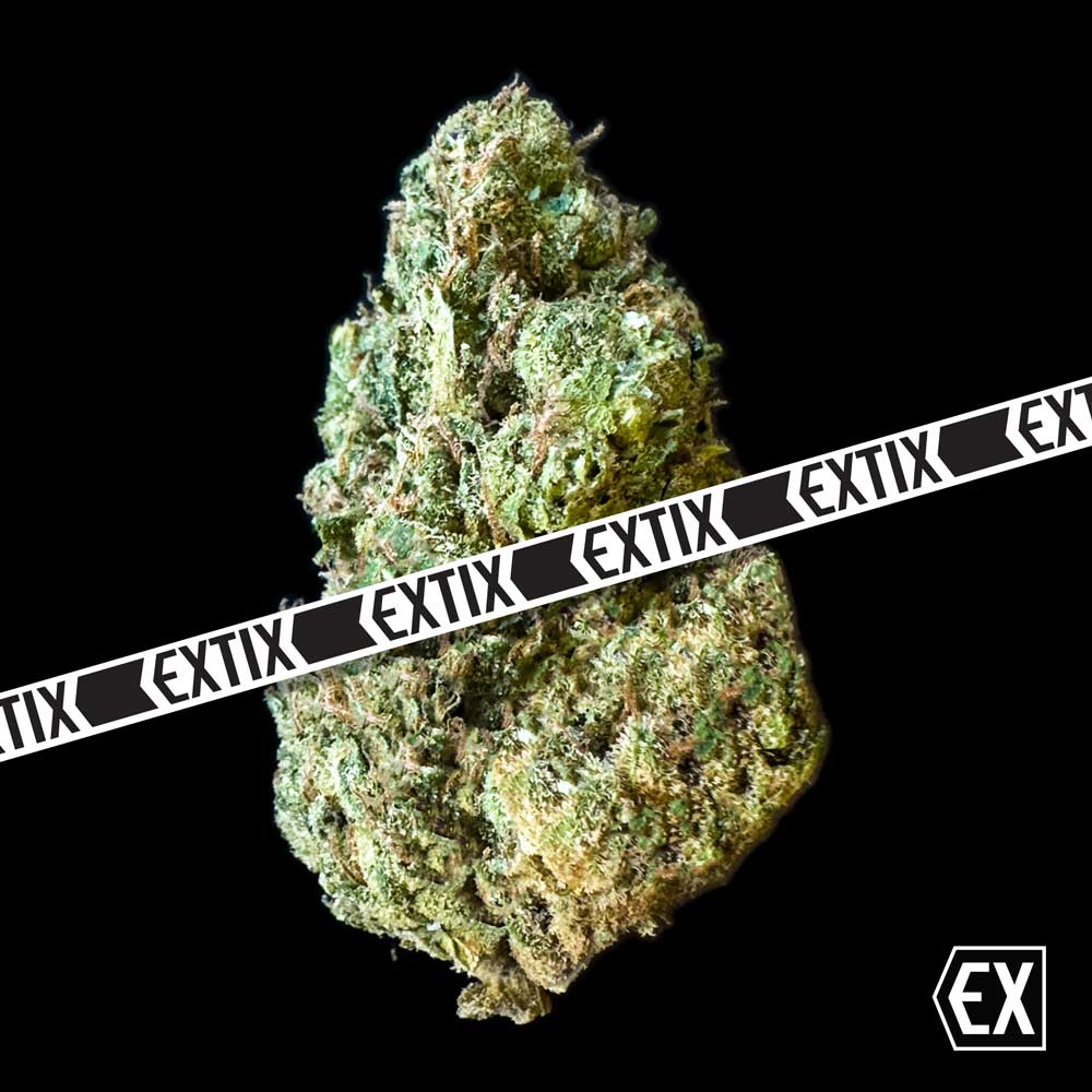 Lemon Snooze cannabis strain by EXTIX