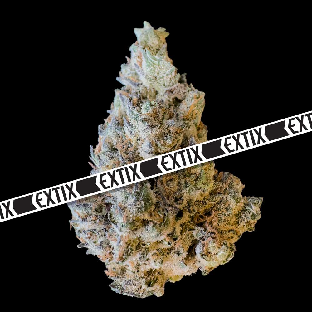 Blueberry Dragon Fire cannabis strain by EXTIX