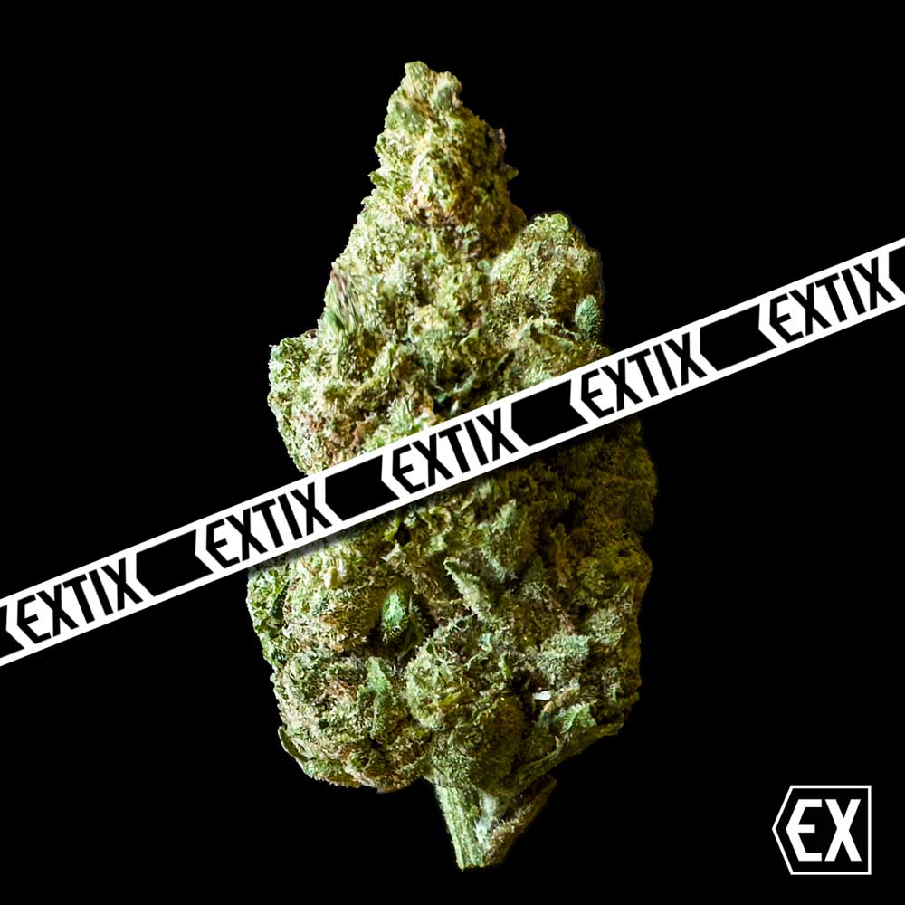 Venus Gelato cannabis strain by EXTIX