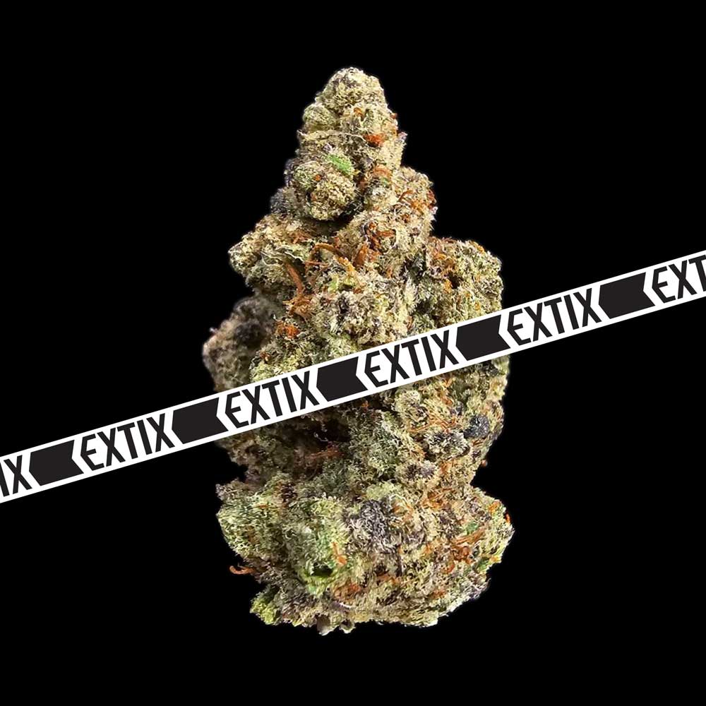 Raspberry Beret cannabis strain by EXTIX
